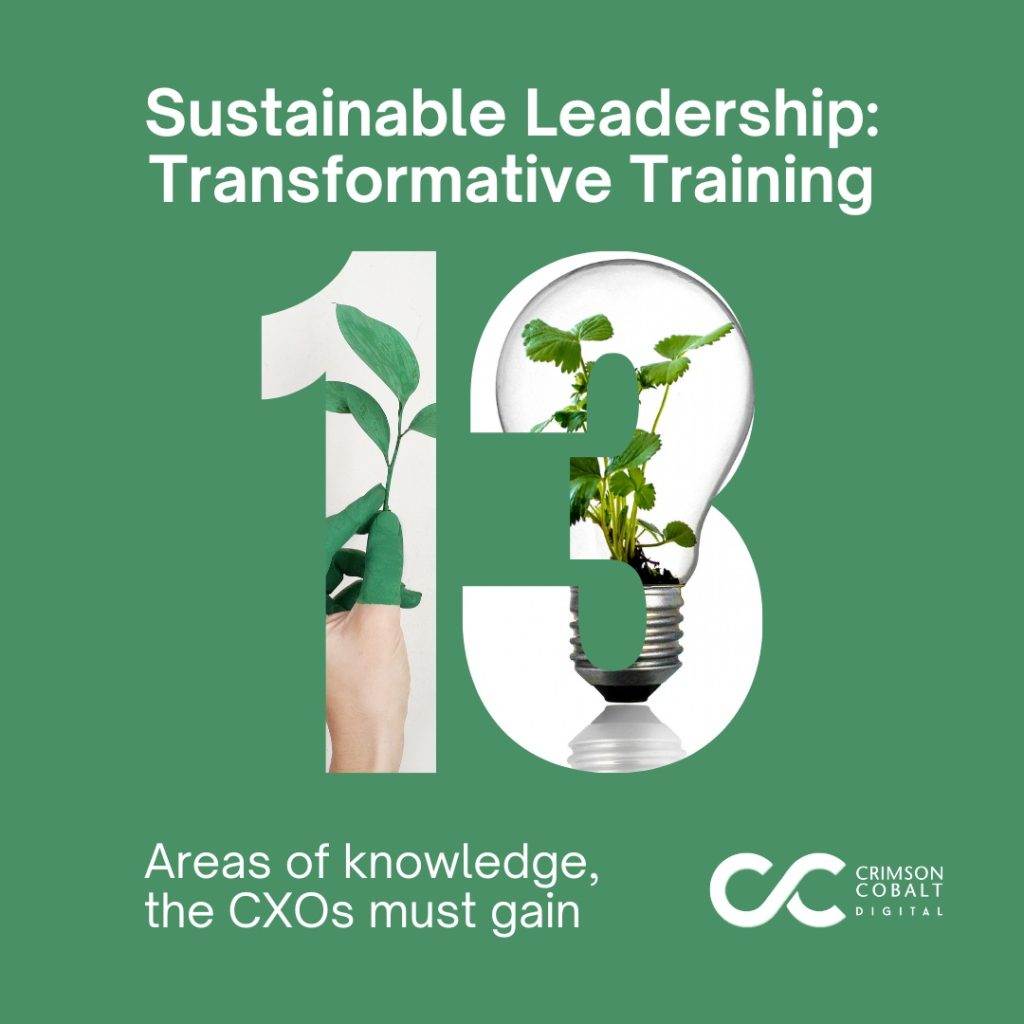 13 areas of sustainable leadership, the CXOs must explore with CrimsonCobalt Digital